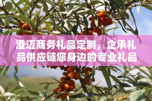 澄迈商务礼品定制，企承礼品供应链您身边的专业礼品定制公司