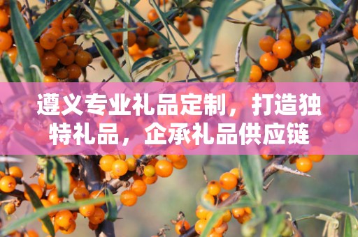 遵义专业礼品定制，打造独特礼品，企承礼品供应链